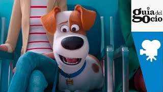 Trailer Preview Image
