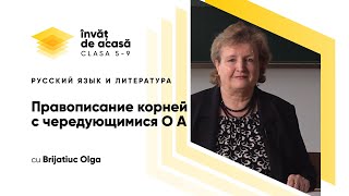 Правописание корней с чередующимися О А