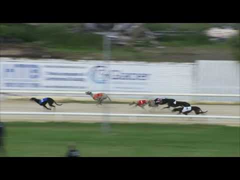 2017 WILLIAM HILL GRAND PRIX - 1ST SEMI - T1 GEELO JENGA