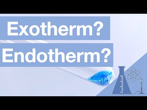 Endotherme und exotherme Reaktionen - Klasse 8