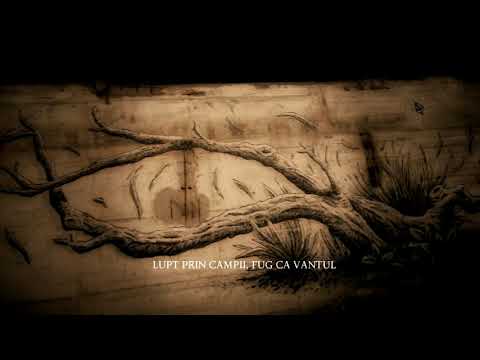 Groparu Liric - Alt Nivel [Lyric Edit]