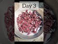Easy To Make Hibiscus Powder At Home Hibiscus Hibiscuspowder Hibiscushairpack