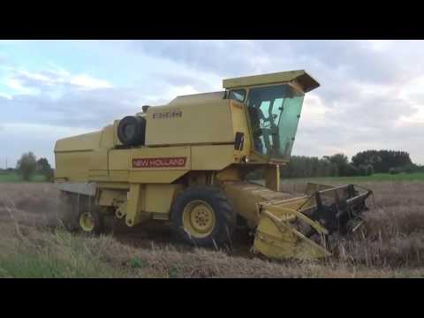 Landb. Schollier - Drongen - maaidorsen - Clayson 8070 en 8060