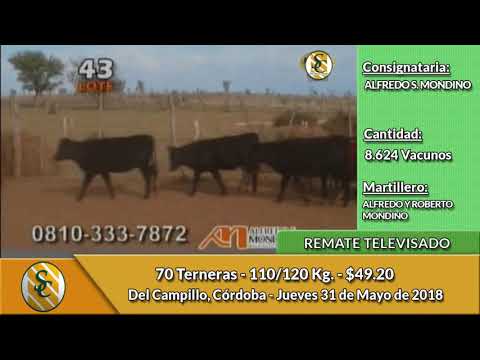 31-5-18 - Remate Televisado de Roberto. S. Mondino - Del Campillo