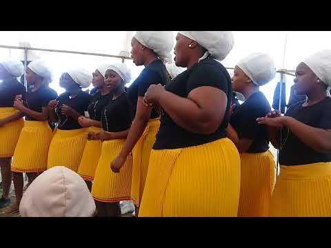 The Twelve Apostle Church in Christ