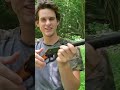 Hunting With Walmart S Cheapest BB Gun