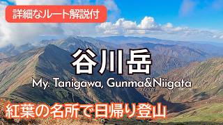 SUB【10月見頃🍁】紅葉ピークの谷川岳へ！ロープウェイで日帰り登山🔰｜Mt. Tanigawa