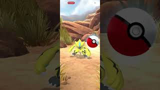 雷光輝きし、ポケモン現れる！その名は…ゼラオラ⚡