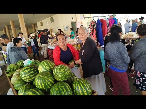 Assista ao vídeo