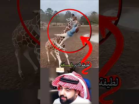 مخاطر التفاعل المباشر مع الحيوانات البرية: درس واقعي #الحياة_البرية #توعية #سلامة #حيوانات #طبيعة