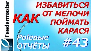 Что делать если клюет мелкий карась