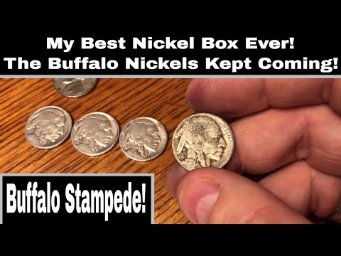 Best Nickel Box Ever - Buffalo Stampede!