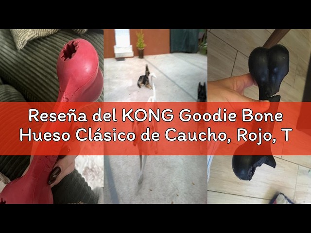 Vídeo relacionado con KONG Goodie Bone - Hueso clásico y Duradero de Caucho Natural para Perros - Dispensador de Golosinas - para Perros Pequeños, Rojo