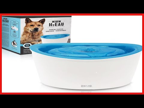 ZEUS Fresh & Clear Elevated Dog and Cat Water Dispenser, Large Drinking Water Fountain
