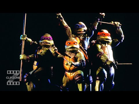 The Origin of The Turtles