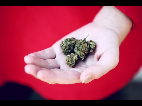 Demystifying Medical Marijuana
