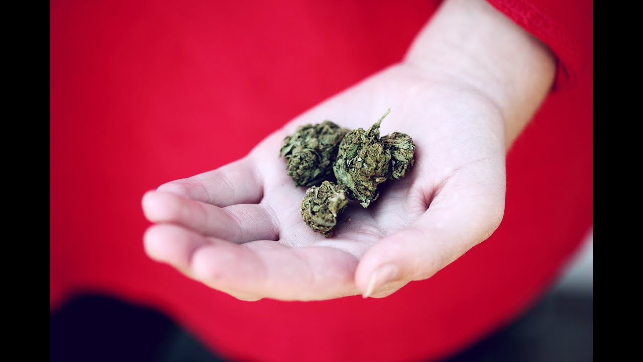 Demystifying Medical Marijuana