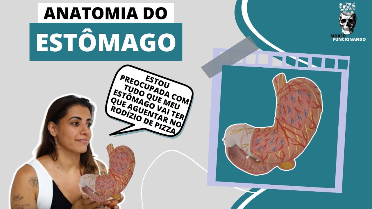 ANATOMIA DO ESTÔMAGO (TUBO DIGESTÓRIO OU TRATO GASTROINTESTINAL - TGI) #5