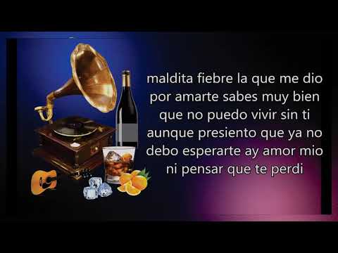 LETRA - Fiebre De Amor - Dario Gomes