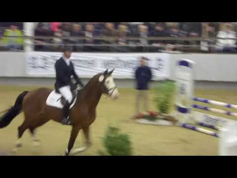 Tecumseh Münster 2018