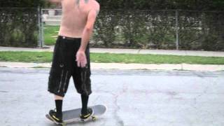 Skate &amp; Destroy-The Faction.m4v