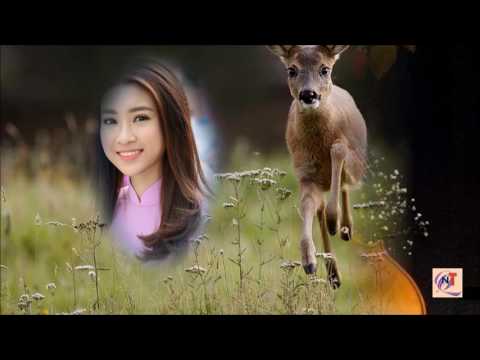 Mắt nai thơ Sheet - Diệu Hiền