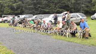 preview picture of video 'Beagle Parade of Champions 2013'