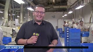 Miniatura do vídeo