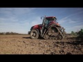 4WD ट्रैक्टर Case IH Magnum 380 CVX RowTrac