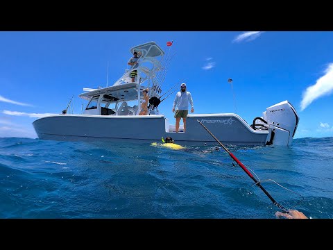 Spearfishing in Beautiful Exuma, The Bahamas!