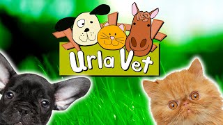 Urlavet  Veteriner Kliniği Tanıtım Videosu