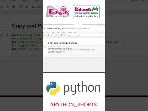 How to Copy-Paste an image using OpenCV.