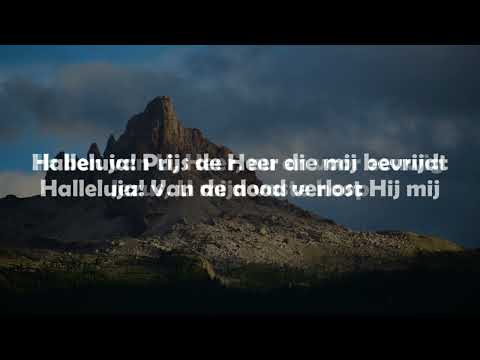 Opwekking met tekst 843 Vaste hoop (versie 1)