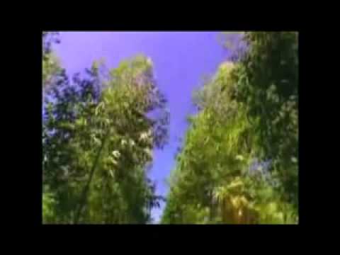 ETERJ NEWS 2010 - 1242 - PAMPA