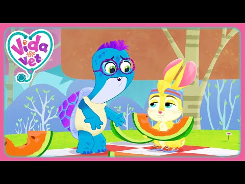 ZigZag Loves Watermelon (Compilation) | Vida the Vet | Cartoons for Kids