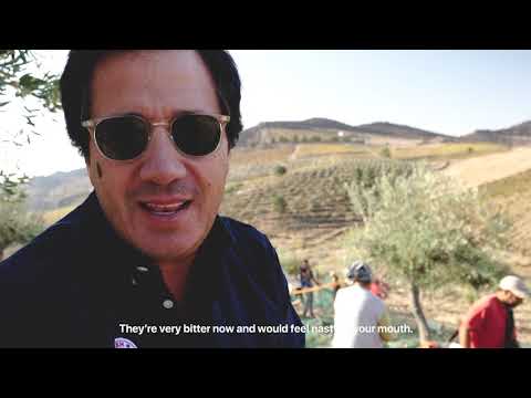 The Olive Oil - Portugal Gourmand - S1E8