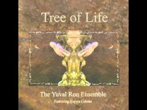 Andalusian by the Yuval Ron Ensemble