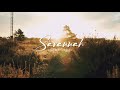 DJ SANTUY Rawi Beat Savannah Remix