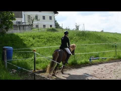 Z1.D4a Katharina Weiß und Stjarna