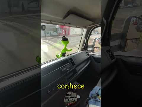 GURIZADA... PALCO DA VEZ FORMOSA CITY.🚛🇧🇷