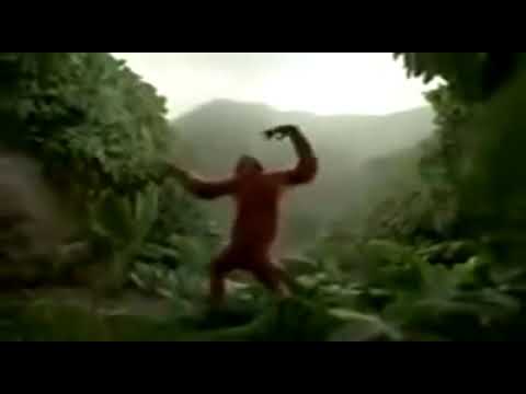 Une souris verte   Singe