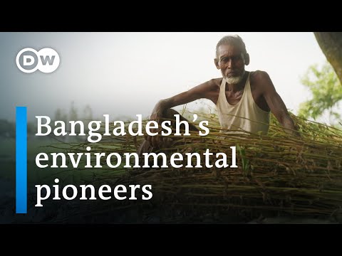Bangladesh: Could Jute Jump Start the Eco-Revolution?