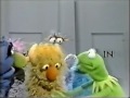 Sesame Street Kermit Talks About IN And OUT