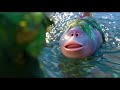 Swapped 2026 Full Movie New Animation Adveture Comedy Movie HD 720P