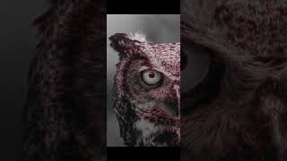 Download lagu The Ride - J Prince mp3