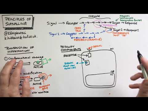 Principles of Cell Signalling