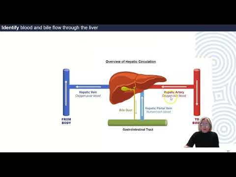 Liver, Gallbladder and Pancreas