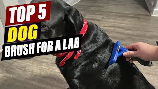 Top 5 Best Dog Brushes for Labradors in 2026 – Shed Less, Gr