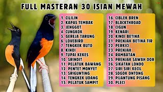 Download lagu 🔴 PALING LENGKAP‼️ MASTERAN GACOR BURUNG KICAU mp3