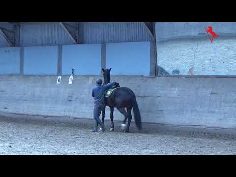 22 02 19 Total Secret